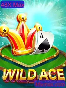 Descobrindo WildAce: Um Mergulho no Jogo de Estratégia com 48X Max